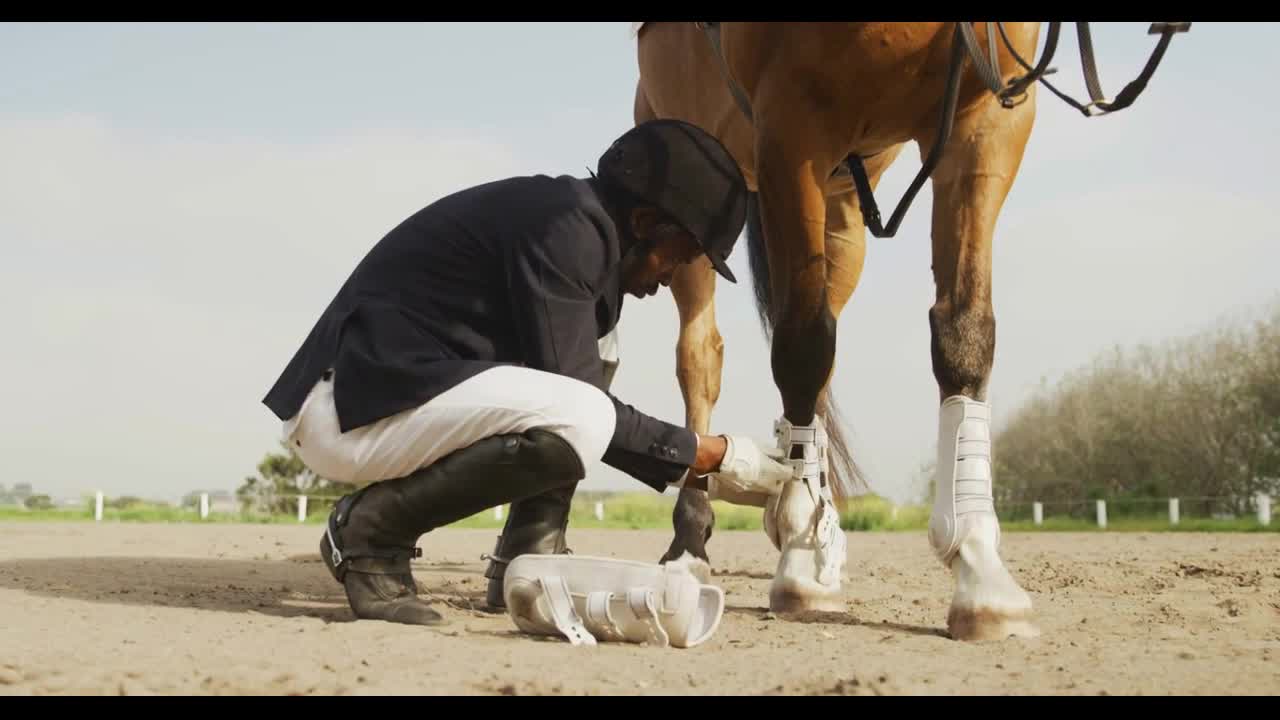 African American man preparing his Dressage horse