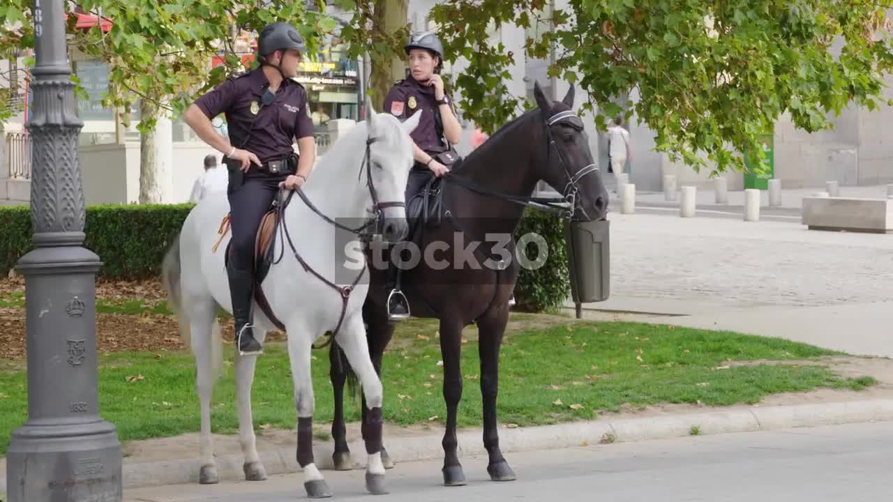 Police Horses And Van In Madrid, Spain