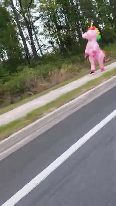 Pink Unicorn sighting 5.21.20 @ Hollister 32147