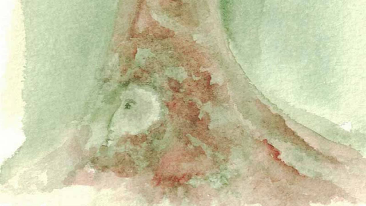 FASCISMO OGGI