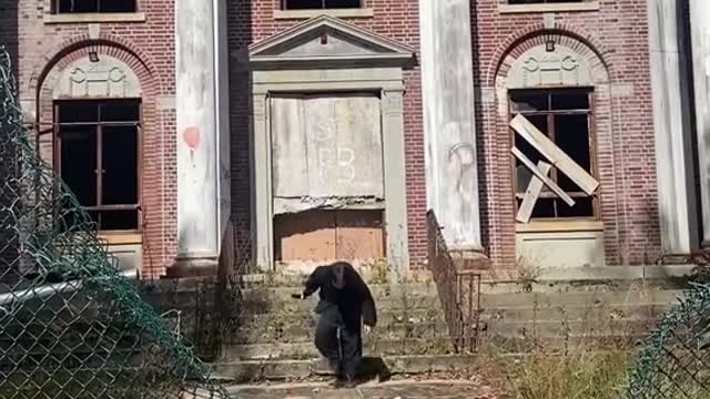 Setting off the alarm at an abandoned tuberculosis hospital