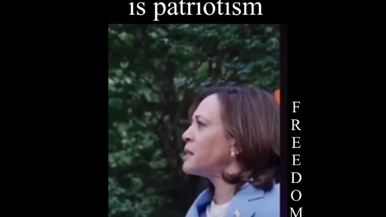 Kamala Harris Vice President pride