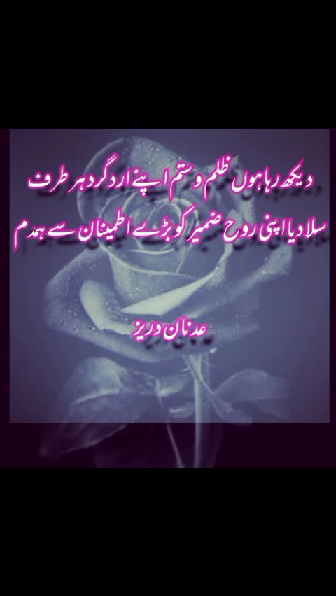 Adnan Durez ka Dewan