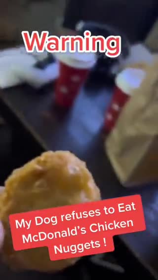 Shorts - My Dog Won't Eat Chicken McNuggets