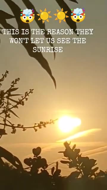 Seeing Double...Again.