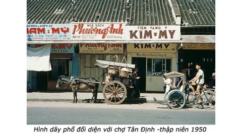 CTN - Hồn Phố