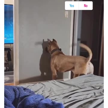 its just me myself & I we have fun all the time