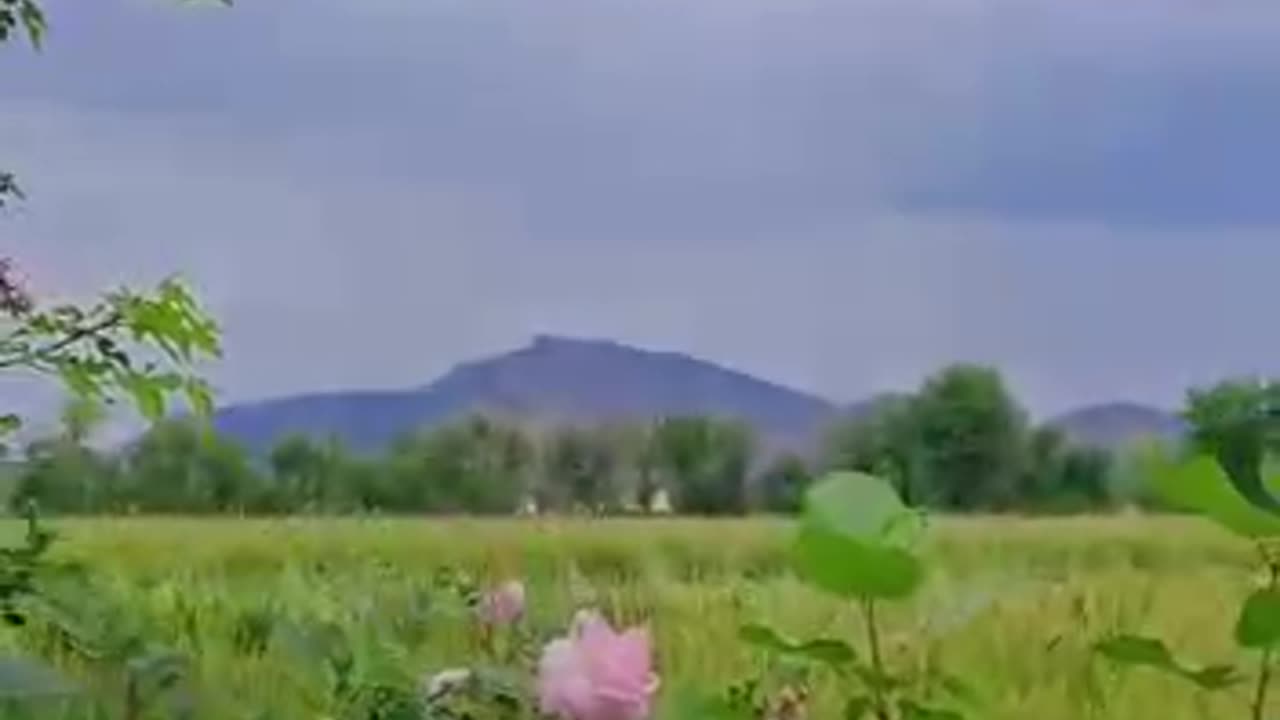 Beauty of ksk