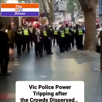In America We Have Random Acts of VioIence Against Cops 🟠⚪🟣The NPC Show