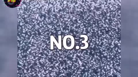 October 8, 2022