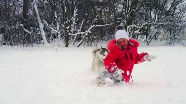 Puppy dog playing in snow