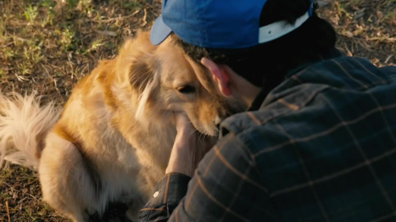 What a beautiful friendship between humans and dogs is really a big interesting.