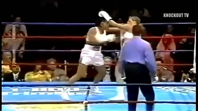 Laila Ali Top 10 Knockouts