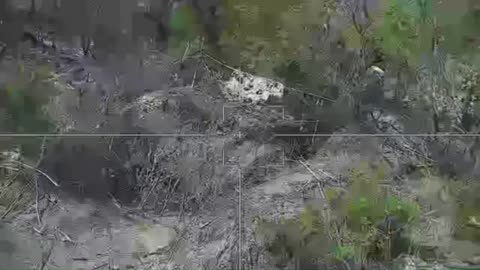 The destruction of the Ukrainian "Carnation" by kamikaze drone "Lancet"