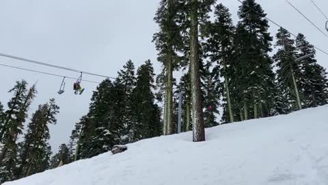 Woman Crashes Into A Bush Behind A Rock While Landing A Snowboard Jump