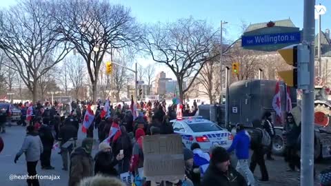 Massive Turnout For Trucker Freedom Convoy Ottawa