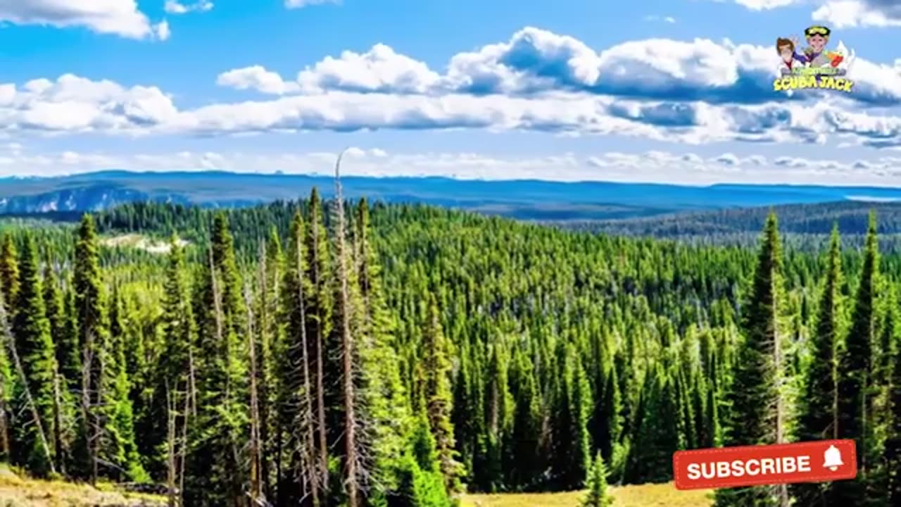 Yellow Stone National Park! Virtual Field Trip for Kids! ||Ashucomedo,