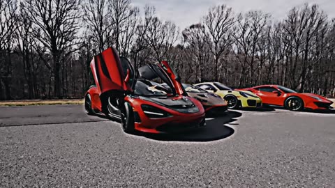 The Dobre brothers showcasing there supercars.