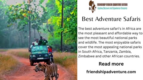 Best Adventure Safaris