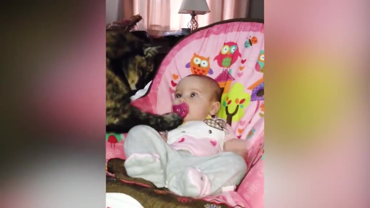 funny cat and baby reaction