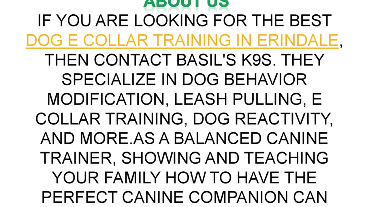 Best Dog E Collar training in Erindale