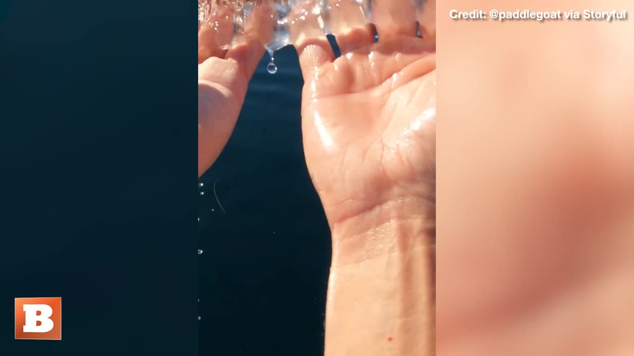 "What Is That?" — CA Paddleboarder Shares Encounter with Strange Transparent Creature