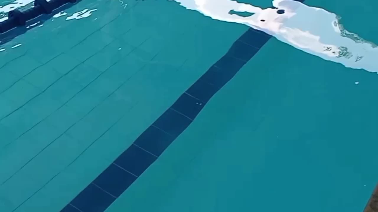 Qual produto causa essa reação na piscina