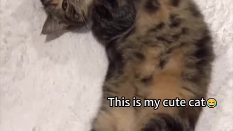 Funny video part 2