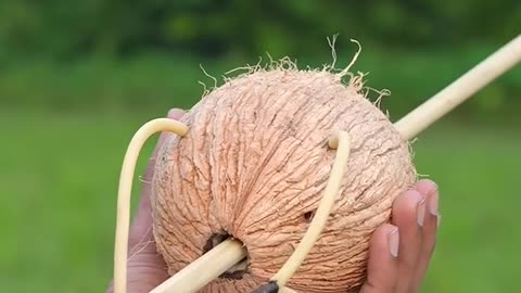Coconut creations with new slingshots #diy #bambooart #bamboo #slingshots #bamboogun #shorts