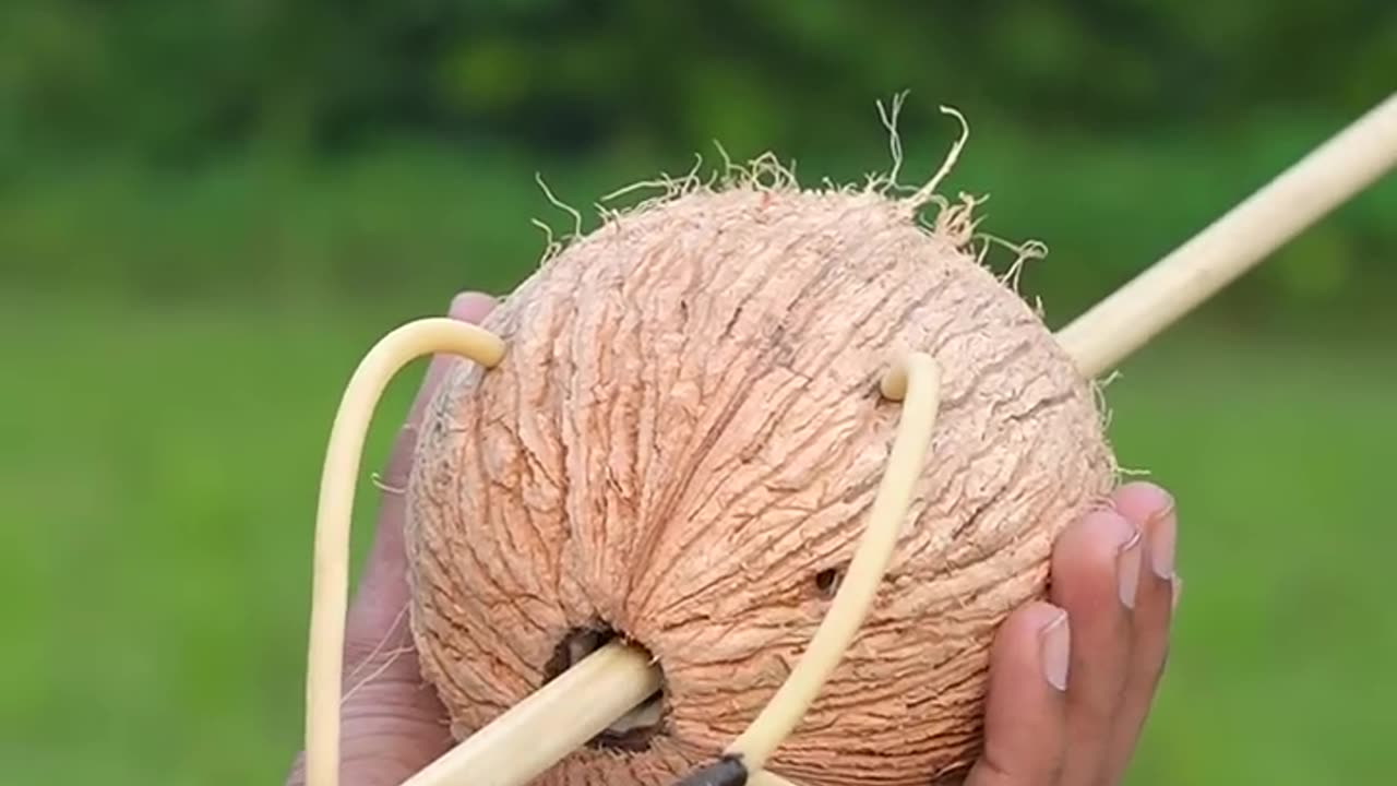 Coconut creations with new slingshots #diy #bambooart #bamboo #slingshots #bamboogun #shorts