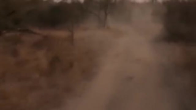 This is how you handle a Rhino charge