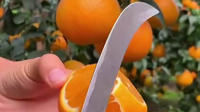 OMG 😱😋🍊