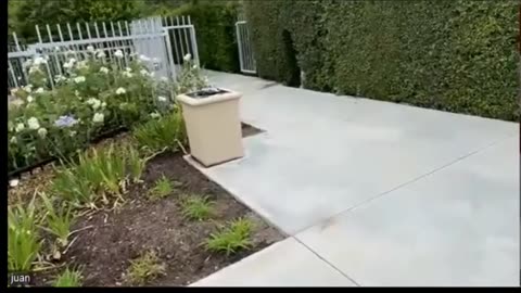 JUAN O SAVIN - THE WAR THE HISTORY NIXON and THE FUTURE- w/ NINO 8/9/2023