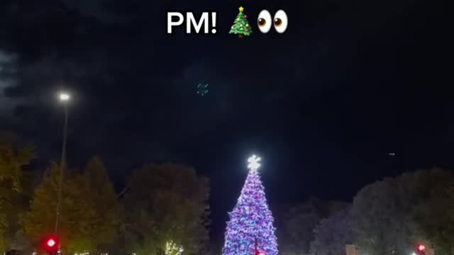 the Chicago Christmas tree will be lit Friday November 18th at 6:30 PM!