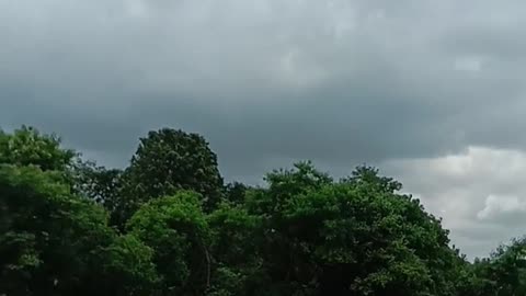 Dark Sky with Green Environment