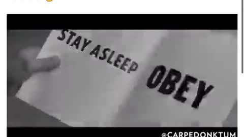 Once you wake up you can’t go back to sleep