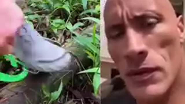 The Rock #satisfying #shorts #reaction