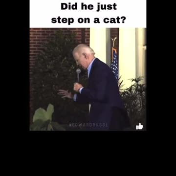 The Truman show continues