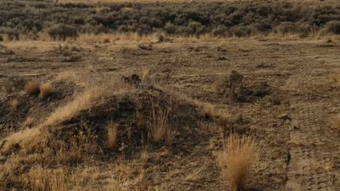 Yakima Desert