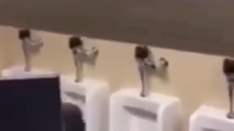 Bathroom Brawl