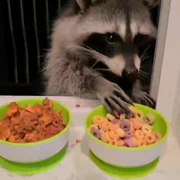 News Break: Visitors.