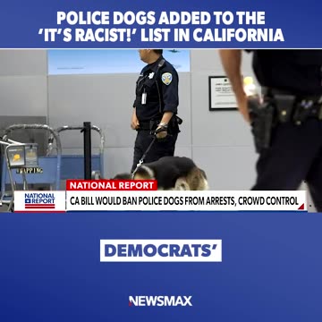 POLICE DOGS ADDED TO THE IT S RACIST LIST IN CALIFORNIA