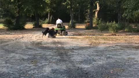 Kids on mower