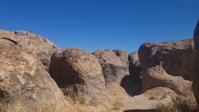 More from the City of Rocks SP, near Silver City, NM