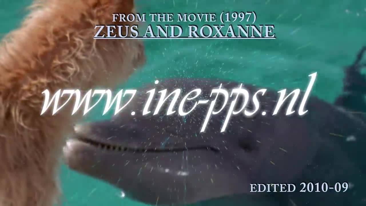 DOLPHIN & DOG SPECIAL FRIENDSHIP - Vangelis: Song Of The Seas