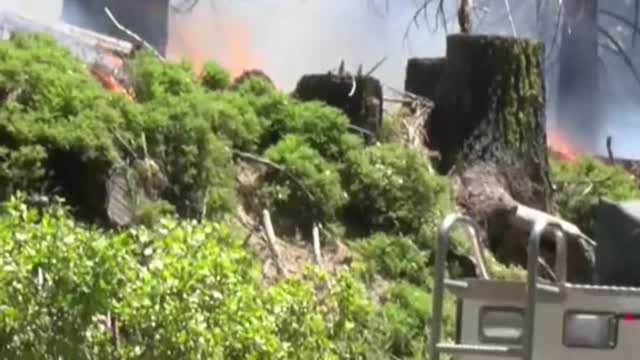 Wildfire threatens iconicSequioa trees inYosemite National Park