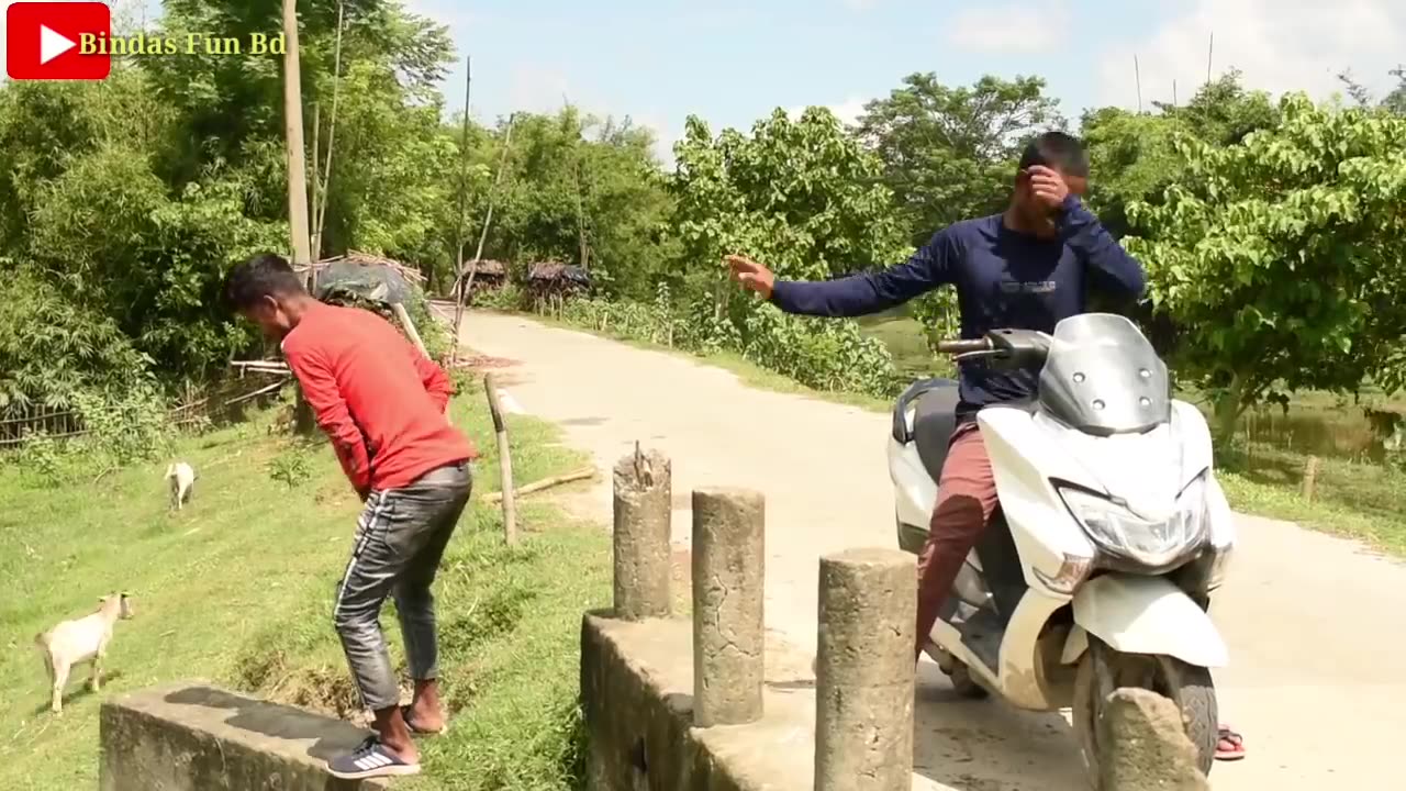 New Funny and Fail Videos 2023
