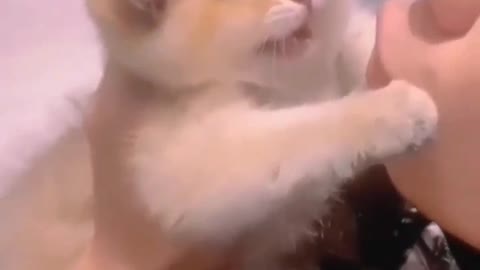 Don’t kiss me 😻😻