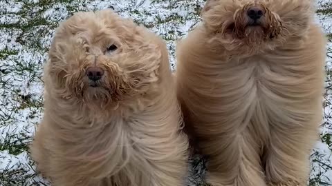 Doodle Hair Flowing In The Wind