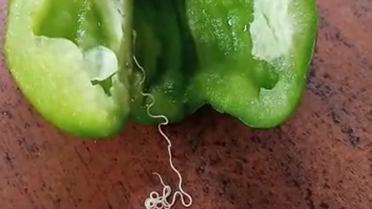 Poisonous snake in vegetables